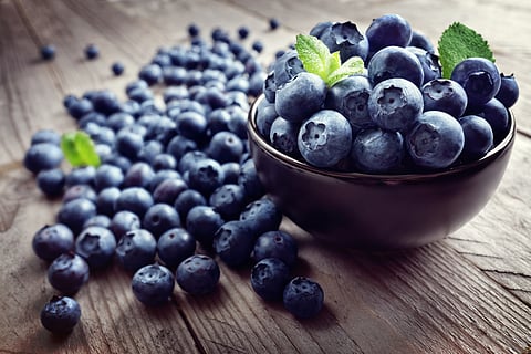 Do blueberries reduce osteoporosis risk?