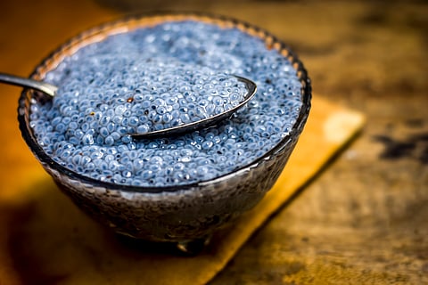 Sabja Seeds vs Gond Katira: Benefits, Uses, and Which One Wins 