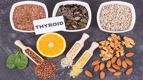 It produces hormones that can regulate metabolism, energy production, body temperature, heart rate, and several other key functions. 