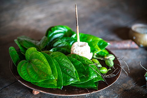 Ghee and betel leaves: why this is good for gut health 