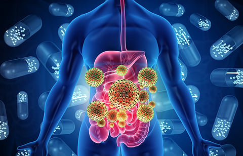 7 Signs Your Gut Health May Need Attention