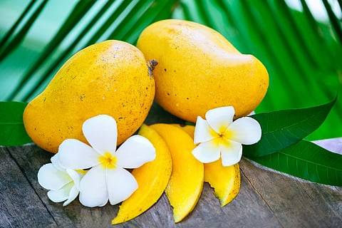 Mango benefits worth knowing before the season ends 