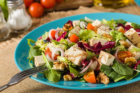High-Protein Paneer Salad Recipe