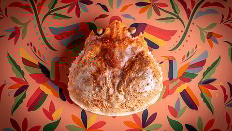 JHOL Celebrates Five Years with “The Culinary Journey: शुद्धि Purification”