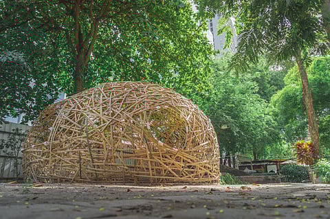 A stroll through Bangkok’s hidden parks and green corners.