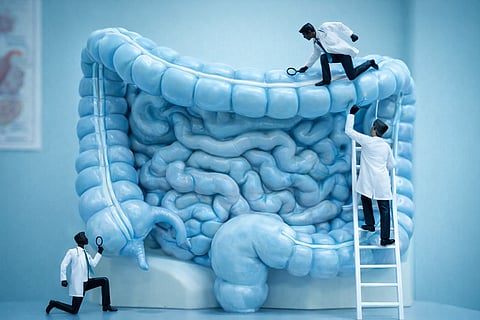 Gut Check: What Your Microbiome Might Be Trying to Tell You