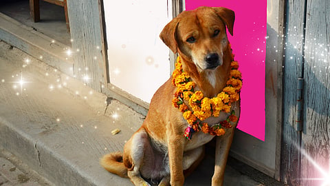 Kukur Tihar