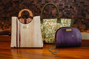 Carrying Sustainability