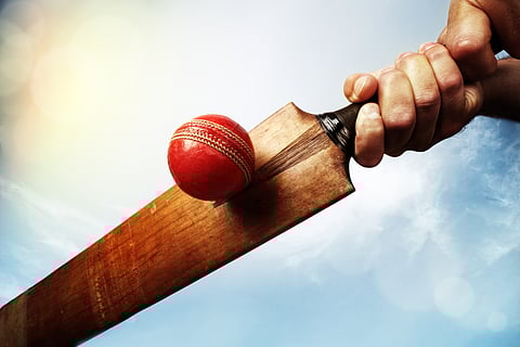 Cricket bats: could bamboo be the new willow?