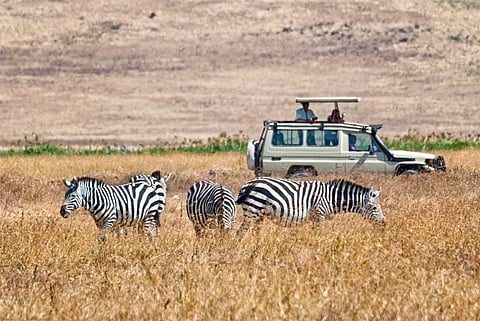 Exploring the other side of South Africa