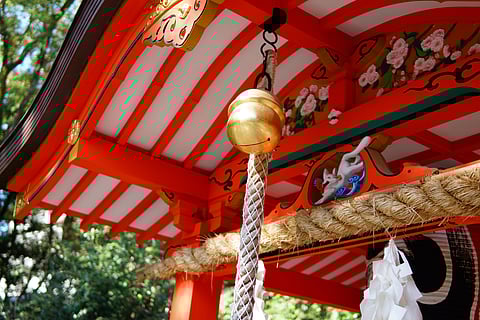 Musings of an Aunty Who Carries Kobe With Her