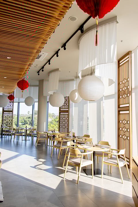 Unveiling the bao-tiful culinary experience at Yumcha Steam King