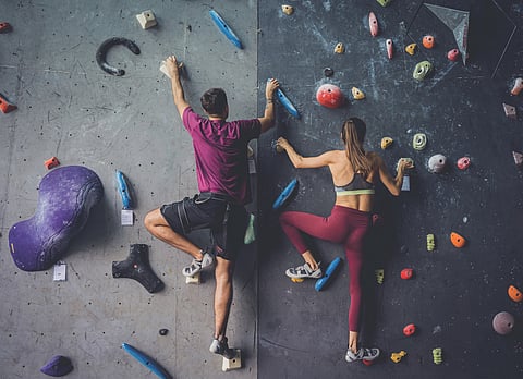 A strong couple of climbers climb an artificial wall with colorful grips and ropes