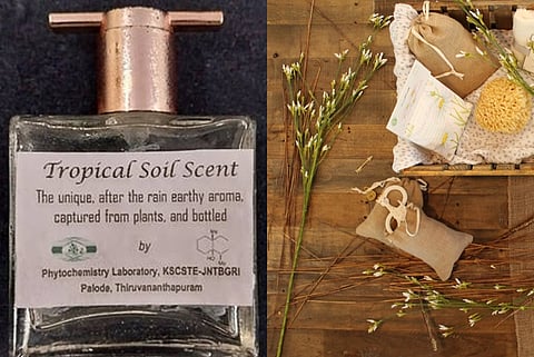 JNTBGR Palode Develops Tropical Soil Scent