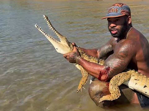 ഹോൾസ്റ്റൺ മുതലയെ പിടിക്കുന്നു