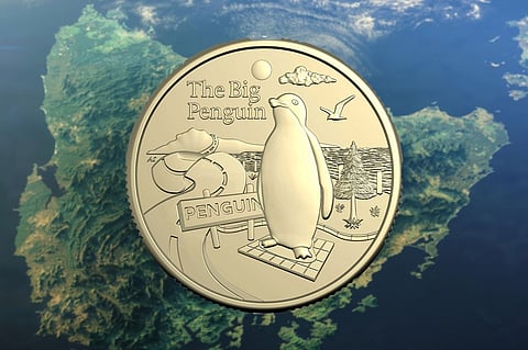 Tasmania’s Big Penguin