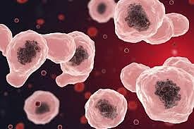 അമീബിക് മസ്തിഷ്ക ജ്വരം ബാധിച്ച് വീട്ടമ്മ മരിച്ചു 