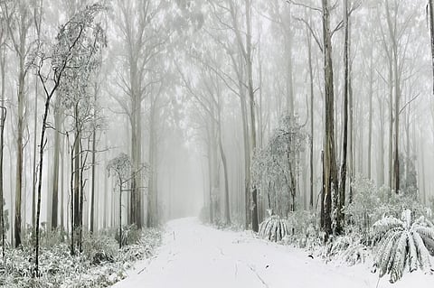 australia winter