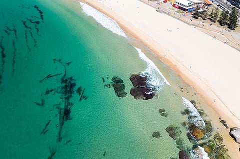 Hereward Shipwreck Resurfaces