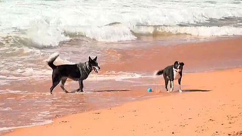 ശാസ്ത്രജ്ഞന് ഭീഷണികൾ