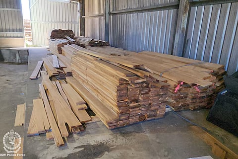 മരത്തടികൾക്കുള്ളിൽ കൊക്കെയ്ൻ; 14 മില്യൺ ഡോളറിന്റെ മയക്കുമരുന്ന് വേട്ട