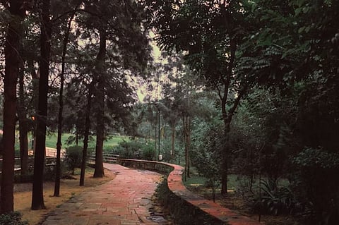 കസ്തൂർബ നഗർ പാർക്ക് ഹൈബി ഈഡൻ എം.പി. നാടിന് സമർപ്പിച്ചു.