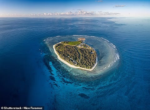 ഗ്രേറ്റ് ബാരിയർ റീഫിൽ സ്നോർക്കെലിംഗ് നടത്തുന്നതിനിടെ സ്രാവ് ആക്രമണം