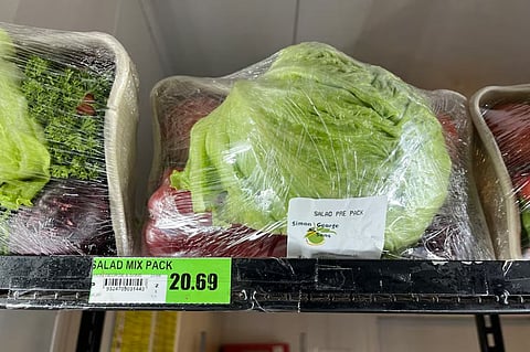 യുദ്ധം മൂലം പട്ടിണിയിലായി ഓസ്‌ട്രേലിയൻ ഉൾനാടുകൾ; ഇന്ധനവില 4 ഡോളർ കടന്നു, സഹായത്തിനായി മുറവിളി

