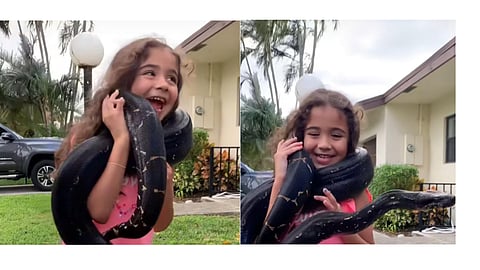 Viral video shows young girl handling a giant snake, triggering online backlash over safety concerns. (Photo Credit @ @snakemasterexotics/Instagram)
