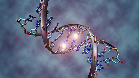 DNA repair uncovered: Protein hubs in cells coordinate fixes, promising advancements in medical treatments. (Wikimedia Commons)