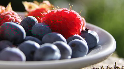 In a survey of people currently on GLP-1 medications such as Ozempic, 25% of respondents agreed they had wasted more food since taking the drugs. (UNSLPASH)