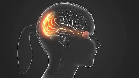 Researchers at CHLA intend to change that and help guide how this disorder is diagnosed as well (Representational Image: Unsplash)