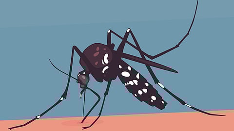 A Malaria-Free India: Turning Vision into Reality Through Grassroots Efforts. (Image: Freepik)