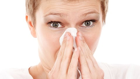 Allergic rhinitis might change the composition of the nasal microbiome, with increased fungal diversity playing a potential role in the condition. (Pixabay)