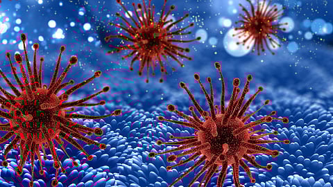 Human Metapneumovirus (HMPV) Detected in Karnataka: India Strengthens Surveillance. (Representative image: Freepik)