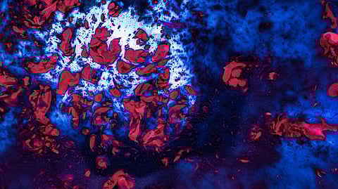 Bioengineered Blood Vessels