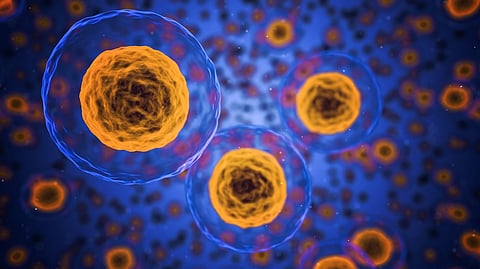 Researchers at Washington University in St. Louis found cells can generate and use lower force yet move faster than those generating and using high forces. (Image: Pixabay)