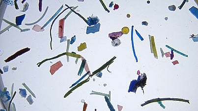 Nanoplastics are minuscule plastic particles that measure less than 1 micrometer in diameter. (Wikimedia Commons)