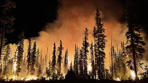 As California wildfires continue into the winter, storm survivors clean up the damage caused by floods.
(Representational image: Wikimedia Commons) 