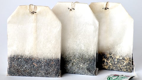 Autonomous University of Barcelona and team carried out a research study which involved the use of teabags.