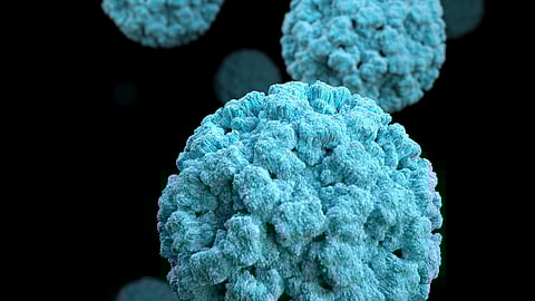 Rising Norovirus Cases: Why Hand Sanitizer Isn’t Enough and Expert Tips on Prevention and Symptoms. Learn how to protect yourself from this highly contagious virus with effective hygiene practices.