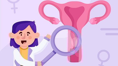 Vaginas host a complex microcosm of bacteria and yeasts, that can fluctuate over time.