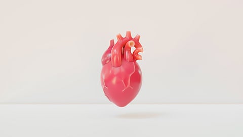 Researchers at Georgia Institute of Technology have came up with new 3D printed bioresorbable heart valve.