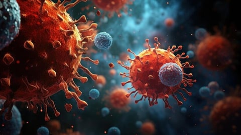 New treatment that stimulates natural killer cells could eventually offer option for difficult-to-treat tumors for cancer UTSW researchers find