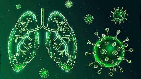 Chinese scientists have isolated a new coronavirus derived from bats known as HKU5-CoV-2. 
