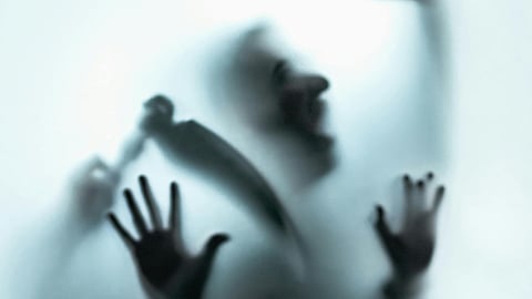 Warangal Doctor Tragedy