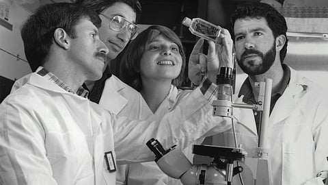 Researchers studying on the salivary gland cancer cells.
