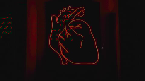 Digital representation of human heart in red color against a black background.