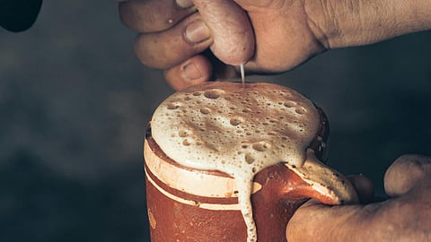 Close-Up Photo of a Person's Hands Milking a Cow