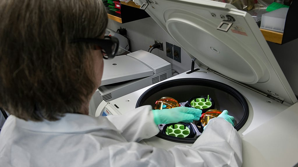 AI and 3D Bioprinting Advance Custom Gum Grafts for Dental Healing